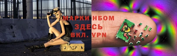стафф Арсеньев