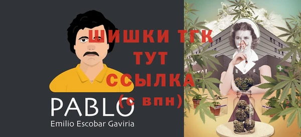 гидропоника Аркадак