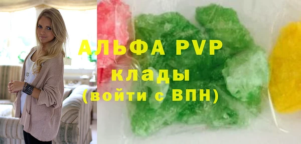 стафф Арсеньев