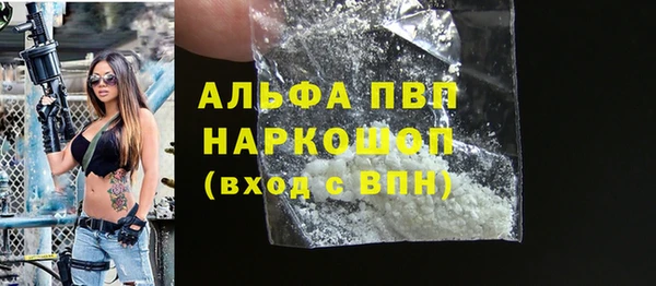 стафф Арсеньев