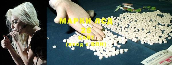 стафф Арсеньев