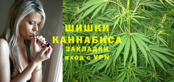 стафф Арсеньев