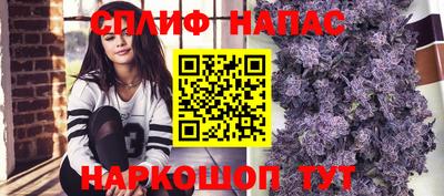 шишки Моздок