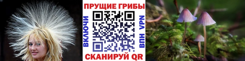Псилоцибиновые грибы ЛСД  купить   Нефтекамск 