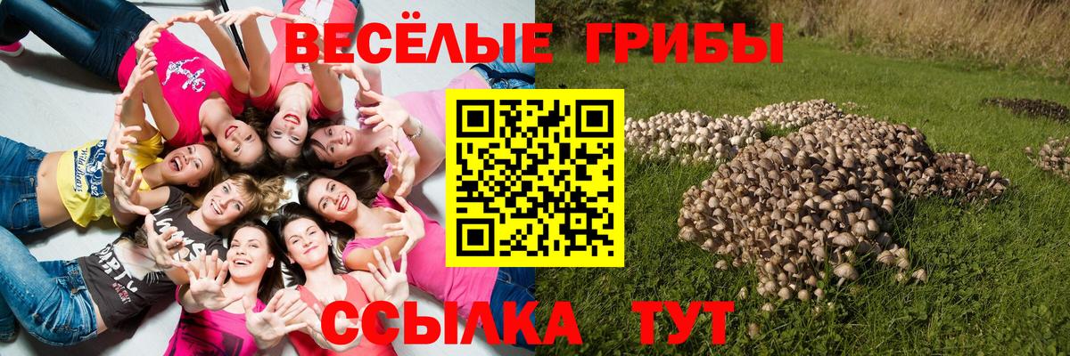 Нефтекамск  Псилоцибиновые грибы ЛСД  Вход с VPN 